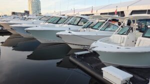 Pursuit at FLIBS 2025